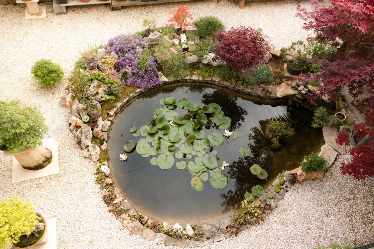 Apartment Beautiful Garden By Rent Istria Porec Esterno foto